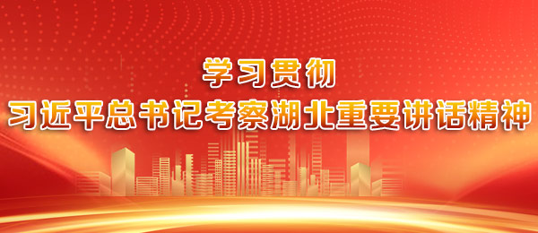 学习贯彻习近平总书记考察湖北重要讲话精神